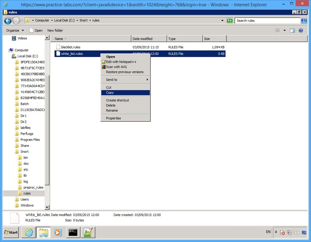 Practice Labs screenshot.